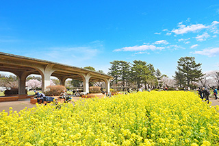 武蔵小金井駅徒歩20分の土地・宅地/フリープランによる新築一戸建て物件