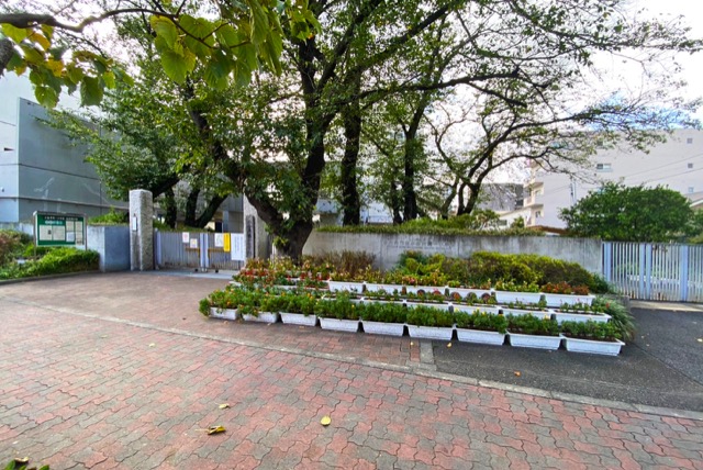 小金井市立第一小学校