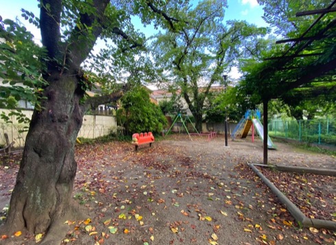 中町シダレザクラ公園