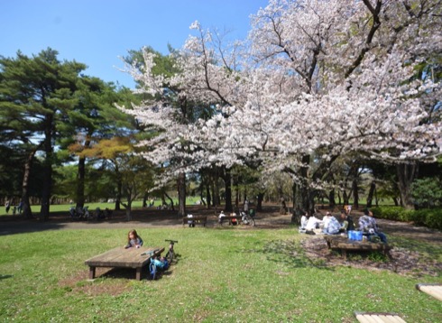 野川公園