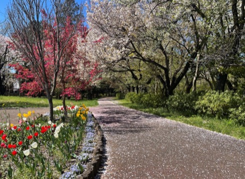 都立武蔵野公園
