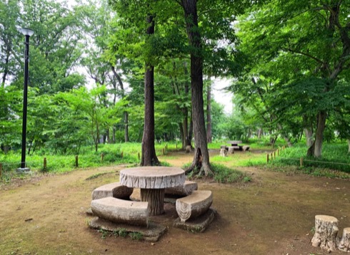 緑ヶ丘みんなの森