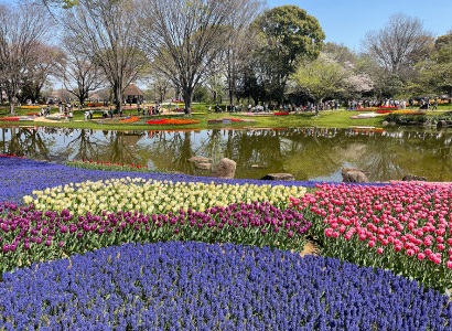 街区／立川市柴崎町の土地・宅地物件。建売価格で自由設計の新築一戸建て