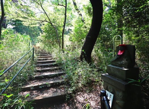 多摩丘陵自然公園