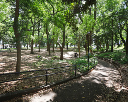 城北中央公園