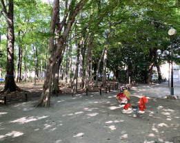 練馬区立こぐれの森緑地
