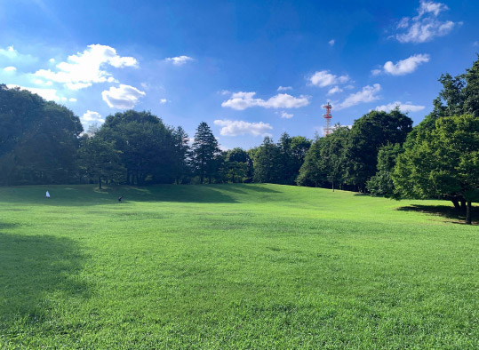 大泉中央公園